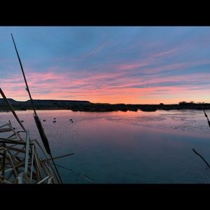 Meet your Posher, Leon